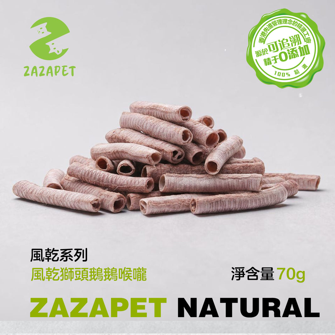 ZAZAPET -風乾鵝喉嚨  廣東獅頭鵝【藥食同源】幫助關節 支氣管 清熱解毒寵 物貓狗零食  40g/包