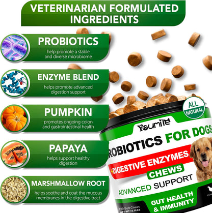 ZAZAPET - 【美國製作】狗用活性益生菌 消化酵素 腸道健康 緩解腹瀉脹氣 幫助營養吸收 支持免疫系統 可拌狗糧拌寵物小零食 100粒/瓶（新包装） 牛肉味