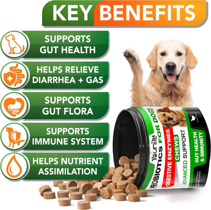 ZAZAPET - 【美國製作】狗用活性益生菌 消化酵素 腸道健康 緩解腹瀉脹氣 幫助營養吸收 支持免疫系統 可拌狗糧拌寵物小零食 100粒/瓶（新包装） 牛肉味