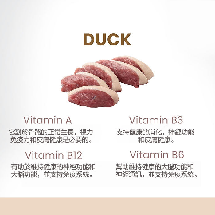 ZAZAPET - 【A級優質鸭肉】凍乾鮮製鴨肉粒  寵物貓狗小食 0添加 500g/桶