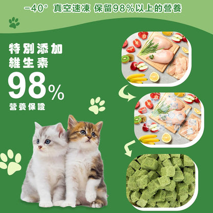 ZAZAPET - 【富含魚油+雞肉+三文魚】 鮮製貓草凍乾粒 貓咪化毛 富含維生素 呵護毛孩腸胃健康 70g/罐