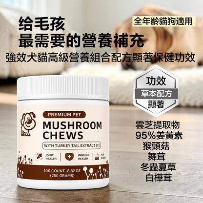 ZAZAPET - 【六大珍貴草本提取物】蘑菇粉軟咀嚼片 採用雲芝提取物 寵物用 天然抗炎關節健康 免疫調節 神經認知 保護毛髮和皮膚 可伴貓糧狗糧 伴貓狗凍乾零食 120粒/瓶 貓狗可食