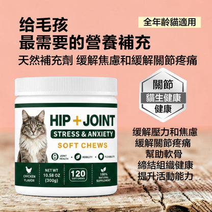 ZAZAPET - 【抗炎鎮痛】貓用關節健康軟咀嚼片 缓解壓力和焦慮 緩解關節疼痛 幫助軟骨和締結組織健康 120粒/瓶 雞肉味 可拌凍乾零食 拌貓糧