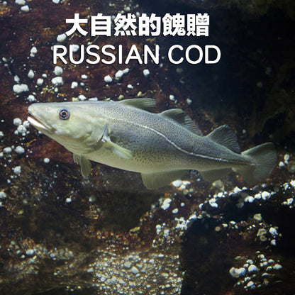 ZAZAPET -凍乾俄羅斯純肉鱈魚粒 無細骨 寵物貓狗小食 豐富魚油 明目健腦  50g
