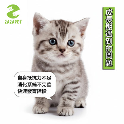 ZAZAPET - 凍乾雞肉羊奶棒 添加乳鐵蛋白 免疫防護 強骨健齒 貓狗小零食 增强免疫50g/包