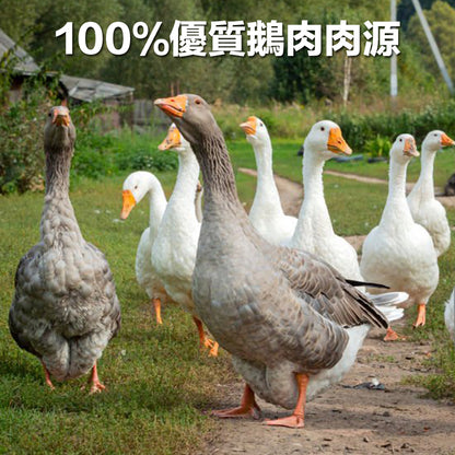 ZAZAPET -風乾鵝喉嚨  廣東獅頭鵝【藥食同源】幫助關節 支氣管 清熱解毒寵 物貓狗零食  40g/包