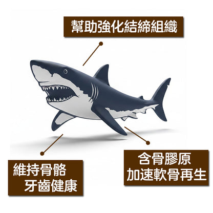 ZAZAPET - 凍乾鯊魚軟骨 天然補鈣 舒緩關節 緩解老年貓狗關節疼痛 天然營養 50g/包