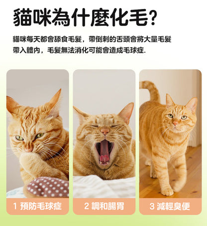 ZAZAPET - 鮮製貓草凍乾粒 貓咪化毛排毛球片  500g