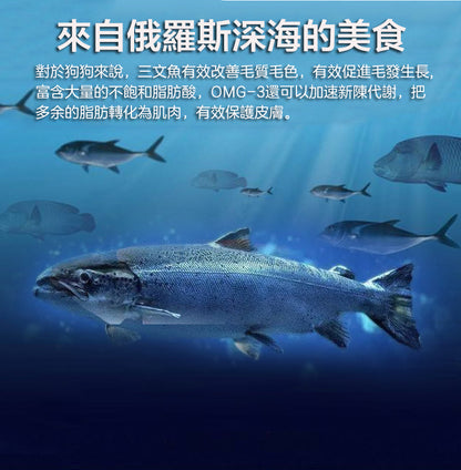 ZAZAPET - 【強骨健齒 護關潤節】凍乾俄羅斯三文魚骨 磨牙貓狗零食  100g