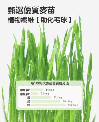 ZAZAPET - 【富含魚油+雞肉+三文魚】 鮮製貓草凍乾粒 貓咪化毛 富含維生素 呵護毛孩腸胃健康 70g/罐